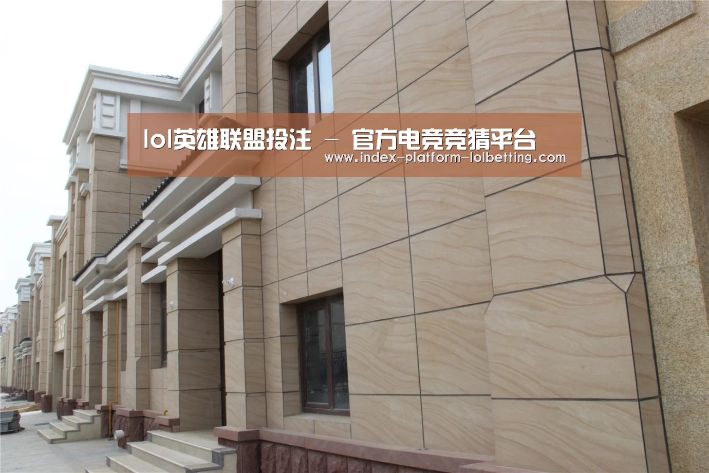 山东湖滨泰和公馆(图1)