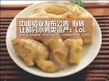 中国铝业发布公告 拟转让部分水务类资产:LoL投注网站 (图2) LoL投注网站