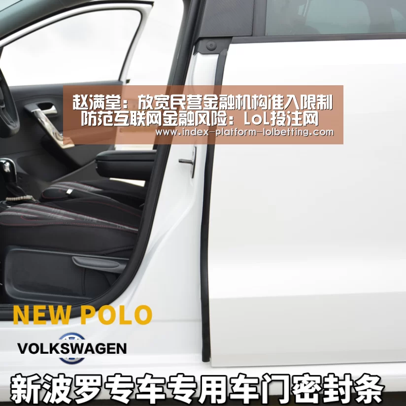 赵满堂:放宽民营金融机构准入限制 防范互联网金融风险:LoL投注网站 (图2) LoL投注网站