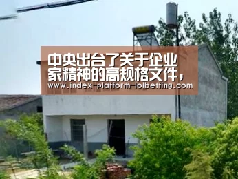 中央出台了关于企业家精神的高规格文件，听听这位企业家怎么说‘LoL投注网站 ’