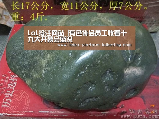 LoL投注网站 |有色协会员工收看十九大开幕会盛况